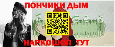 прущие крисы Гатчина