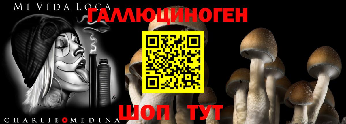 Псилоцибиновые грибы Cubensis Орехово-Зуево